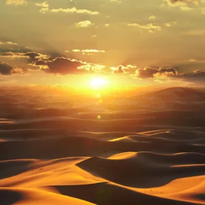 32545 - Dune Wall mural