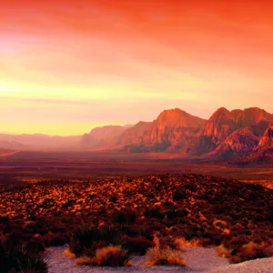 32548 - Dune Wall mural