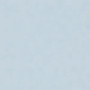 34416 - Shades Iconic