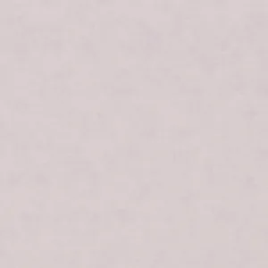 34421 - Shades Iconic