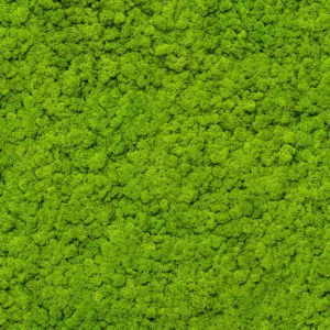 34862 - GZSZ Wall mural