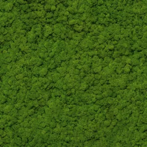 34864 - GZSZ Wall mural