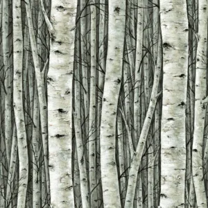 35380 - Timber Wall mural