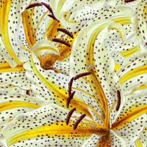 46715 - Smart Art Aspiration Wall mural