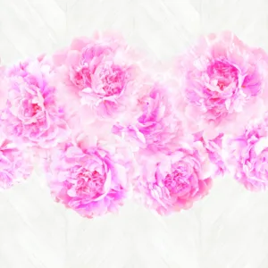 47260 - Smart Art Easy Wall mural