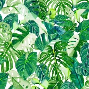 47415 - Spirit of Jungle