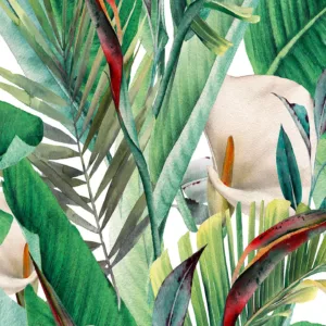 47416 - Spirit of Jungle