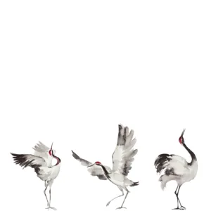 63440 - Crush Motion Mural