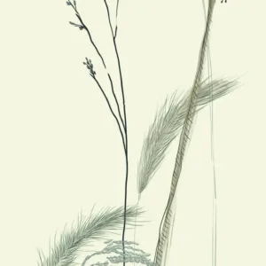 63487 - Crush Motion Mural