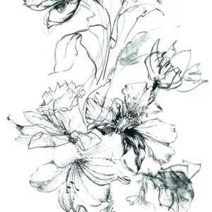 63492 - Crush Motion Mural