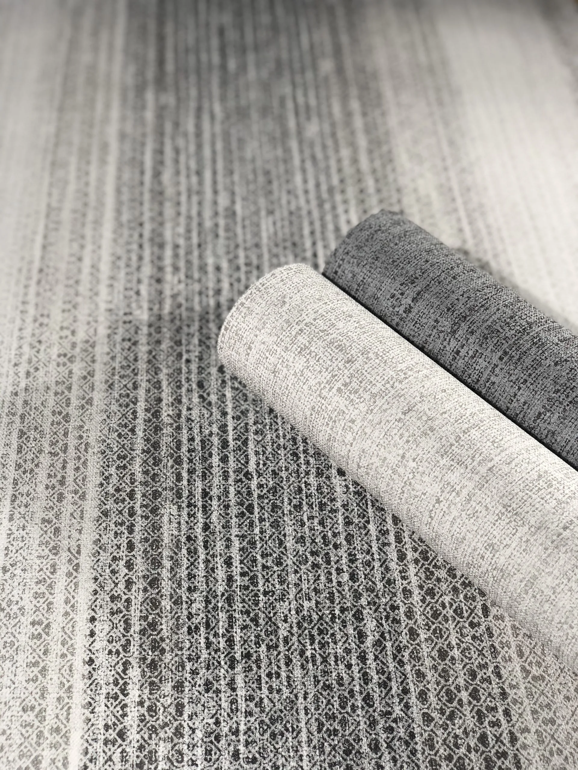 32405 - Shades – Image 4