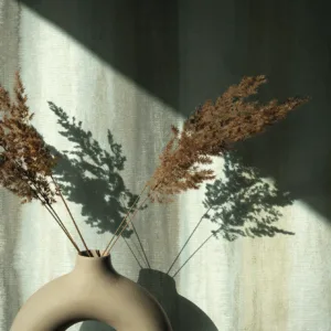 34427 - Shades Iconic