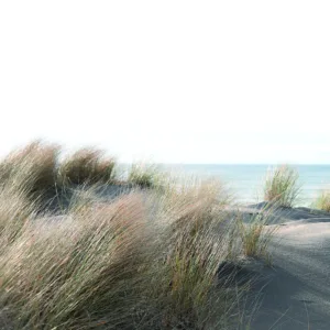 47219 - Smart Art Easy Wall mural