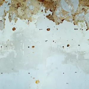 47226 - Smart Art Easy Wall mural