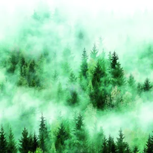 47267 - Smart Art Easy Wall mural