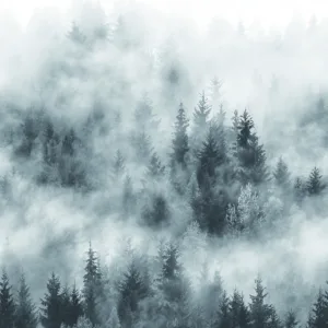 47268 - Smart Art Easy Wall mural