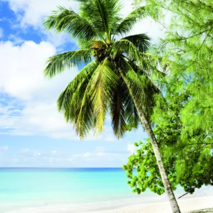 47269 - Smart Art Easy Wall mural