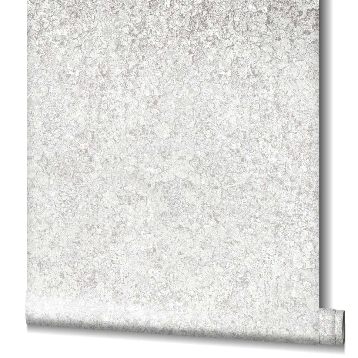 47478 - Flora - Imagen 2