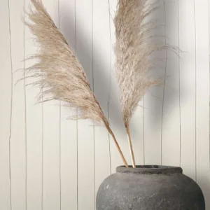 63403 - Crush Motion