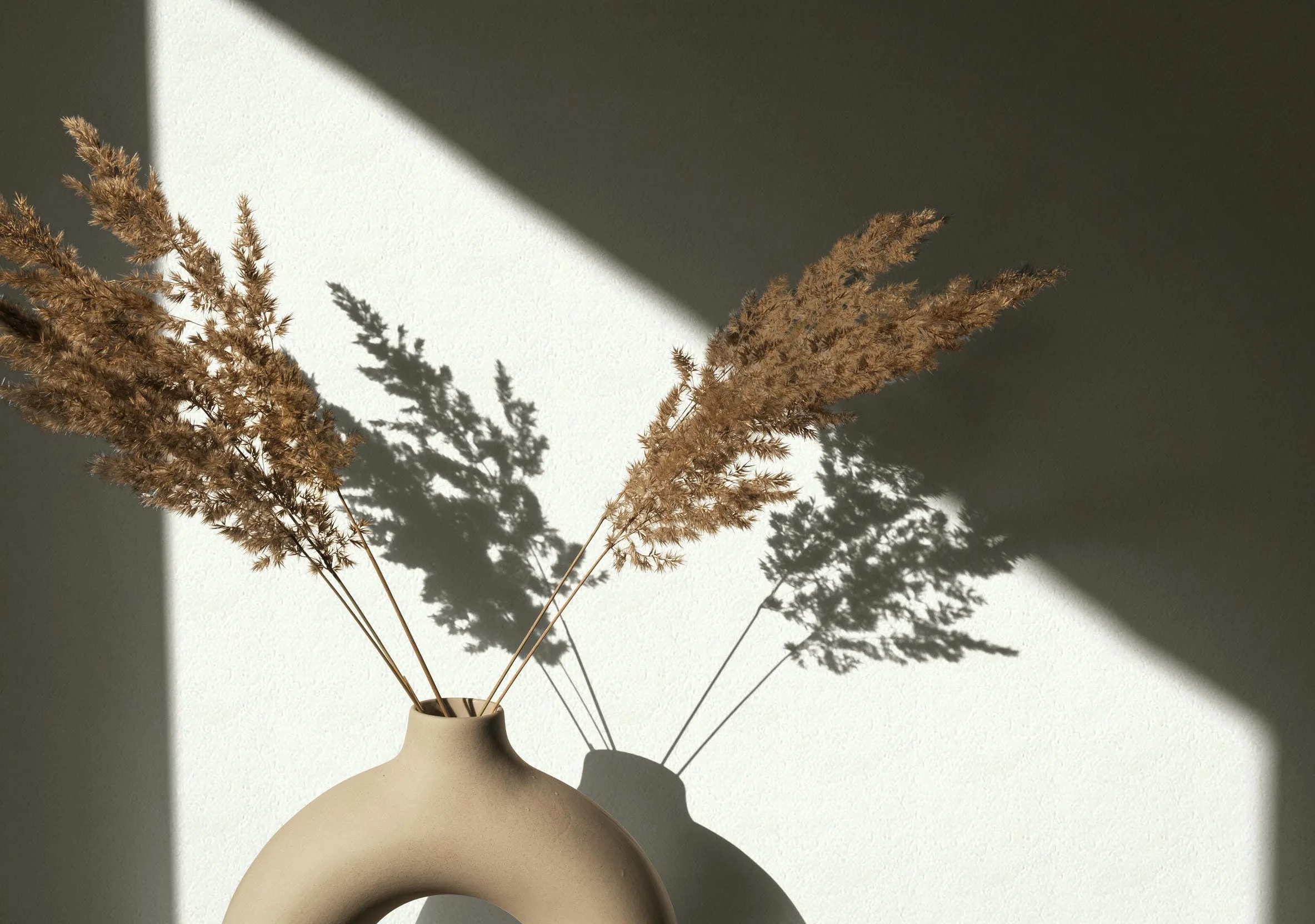 Dry pampas grass / reed in stylish vase. Shadows on the wall. Silhouette in sun light. Minimal interior decoration concept; Shutterstock ID 1790705900; purchase_order: -; job: -; client: -; other: -