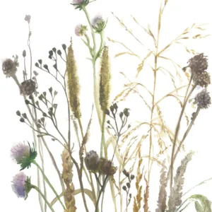 35799 - Boho фотообои