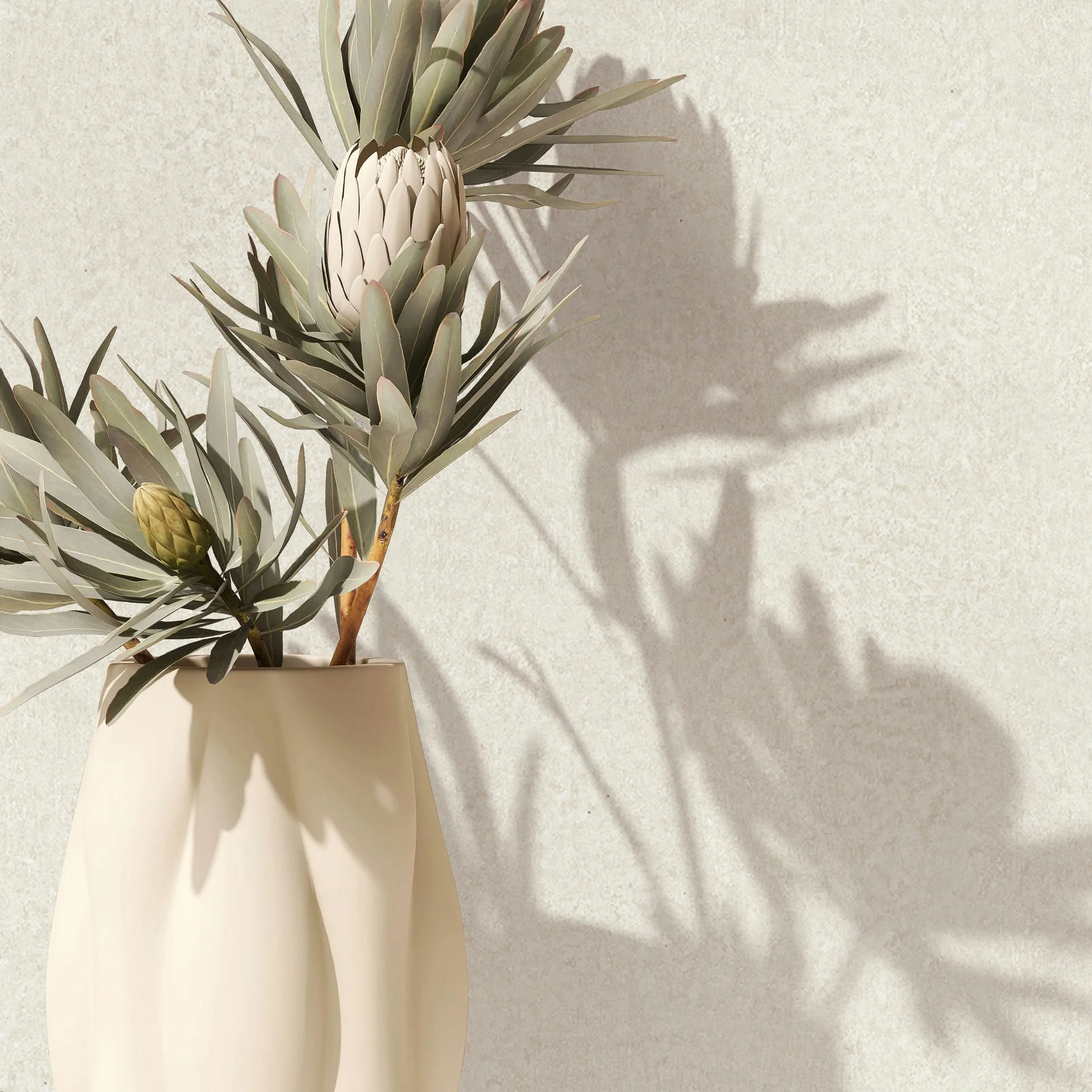 35545 - Ritus - Image 2