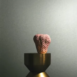 34911 - Felix Diener Eclectic