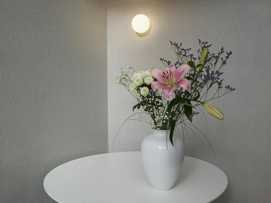 34912 - Felix Diener Eclectic - Image 2