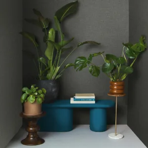 34916 - Felix Diener Eclectic