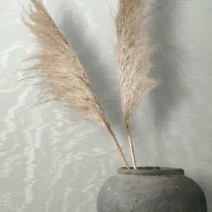 34921 - Felix Diener Eclectic