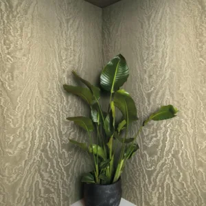 34922 - Felix Diener Eclectic