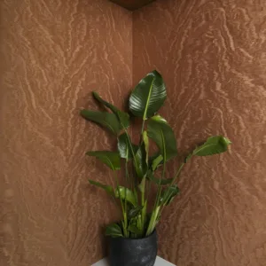 34926 - Felix Diener Eclectic