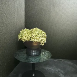 34943 - Felix Diener Eclectic