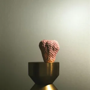 34948 - Felix Diener Eclectic