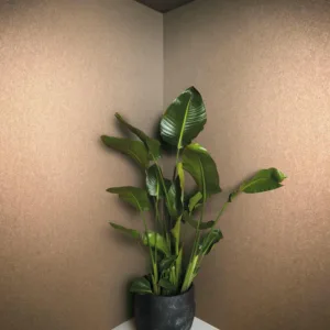 34949 - Felix Diener Eclectic