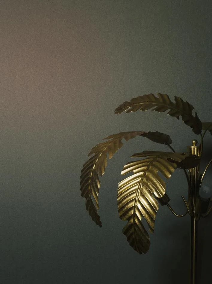 34951 - Felix Diener Eclectic - Image 2