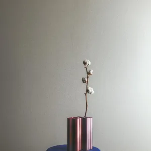 34955 - Felix Diener Eclectic