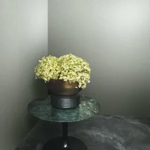 34959 - Felix Diener Eclectic