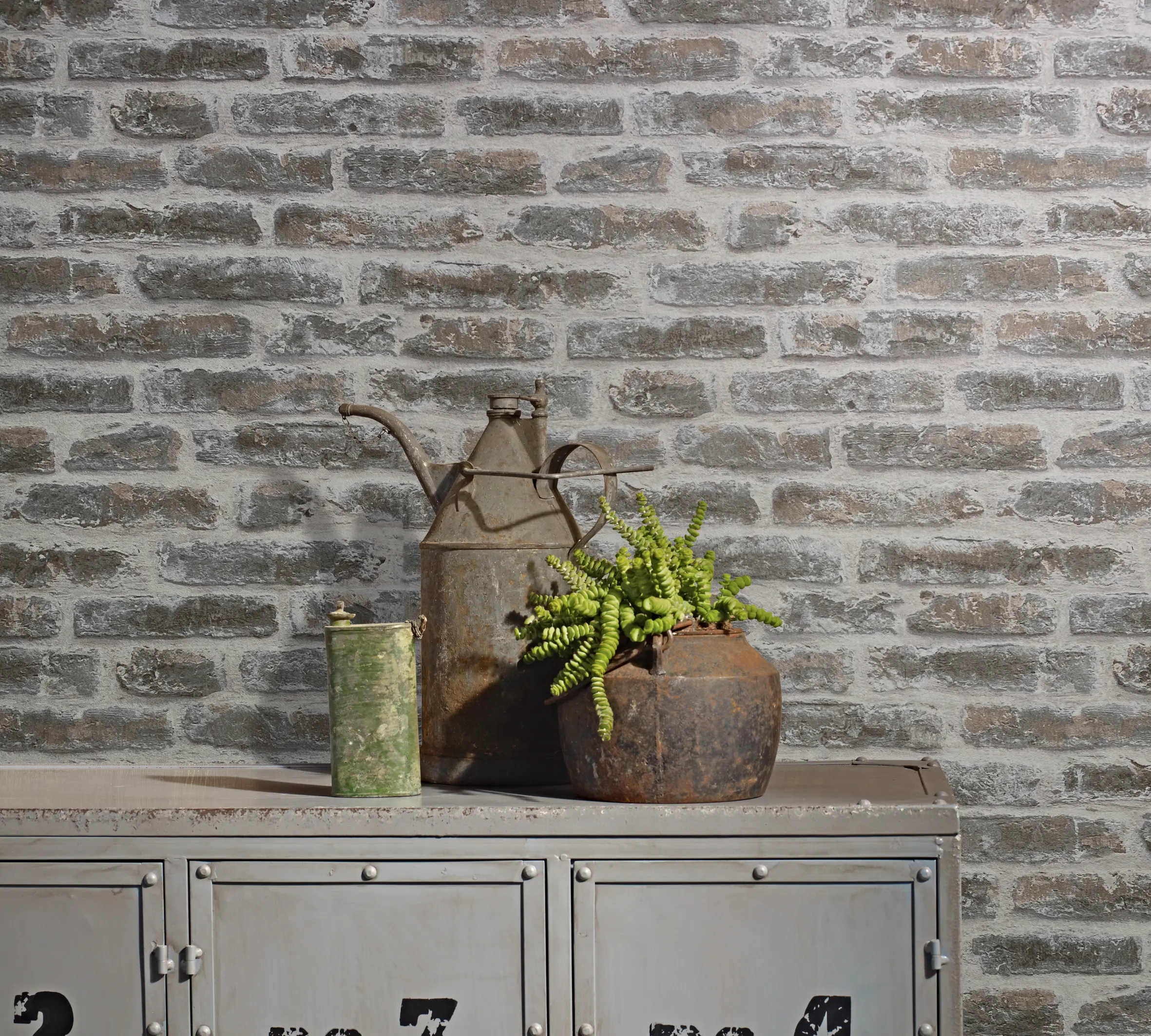 82377 - JACKIE - Image 2