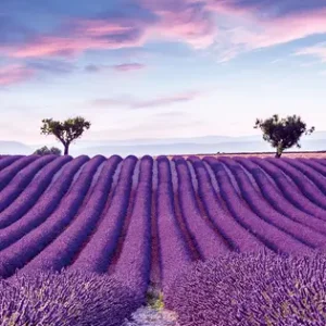 35643 - GLÖÖCKLER POMPÖÖS PROVENCE Wall mural