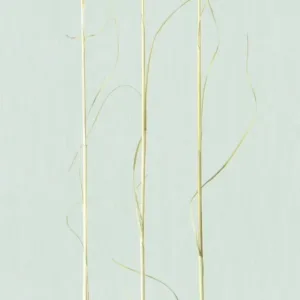 33270 - Natural Opulence Fototapete