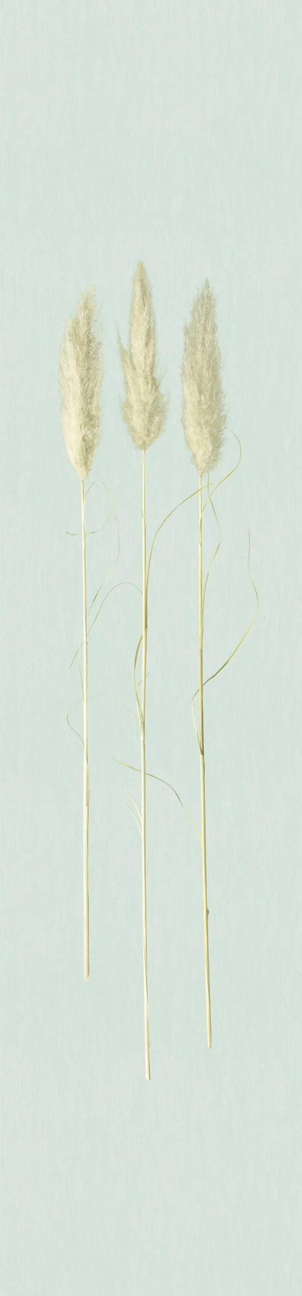 33270 - Natural Opulence Fototapete