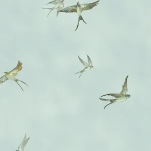 34790 - Wohngesund Fototapete