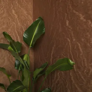 34926 - Felix Diener Eclectic