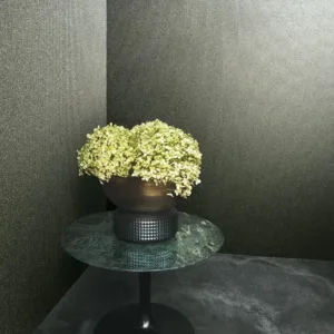 34943 - Felix Diener Eclectic