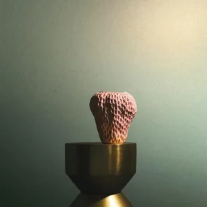 34951 - Felix Diener Eclectic