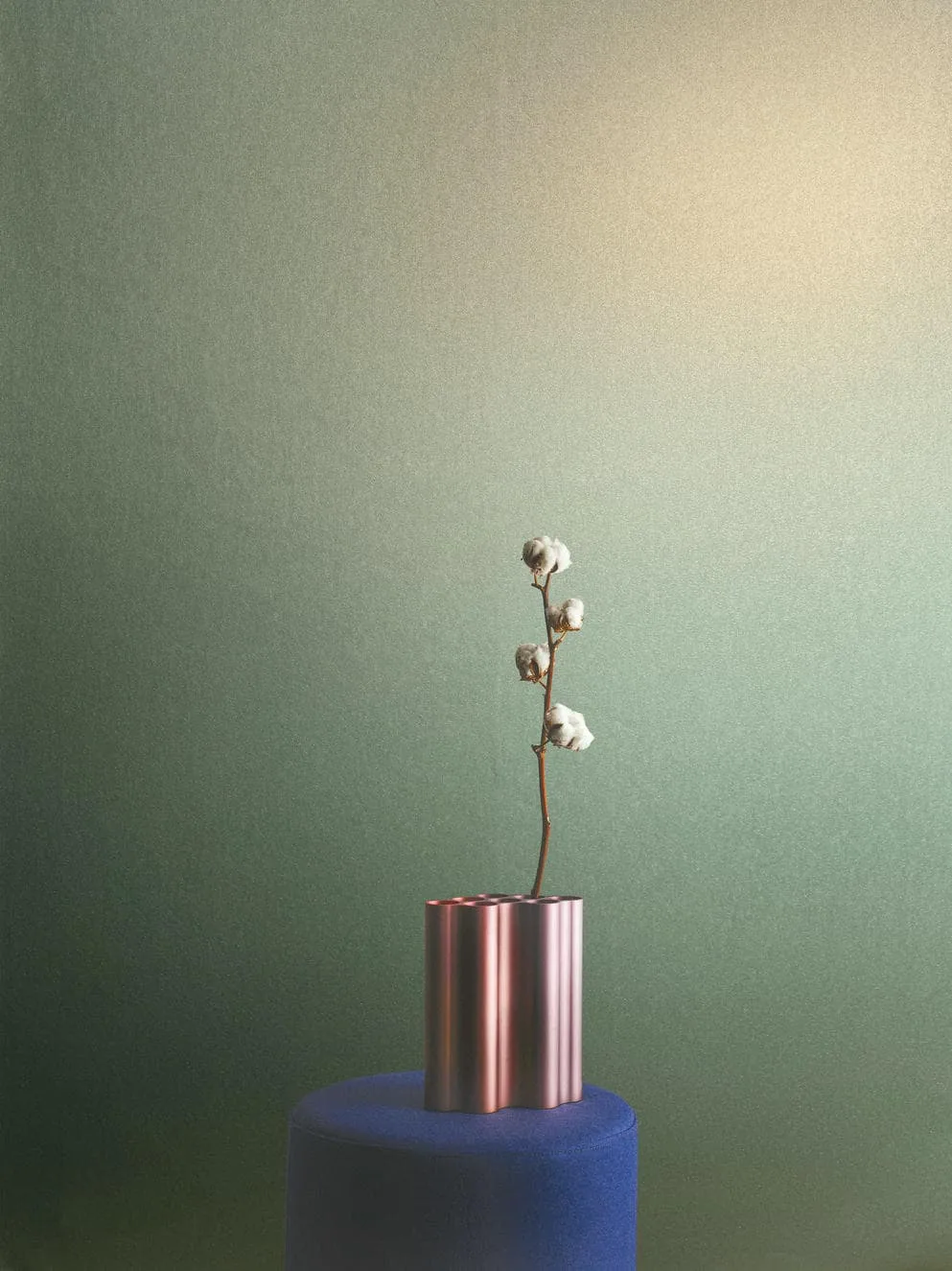 34951 - Felix Diener Eclectic – Bild 2