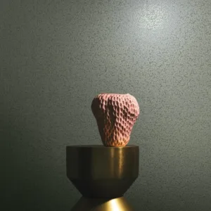 34957 - Felix Diener Eclectic