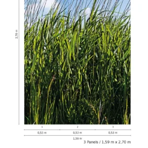 47272 - Smart Art Easy Fototapete