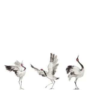 63440 - Crush Motion Fototapete